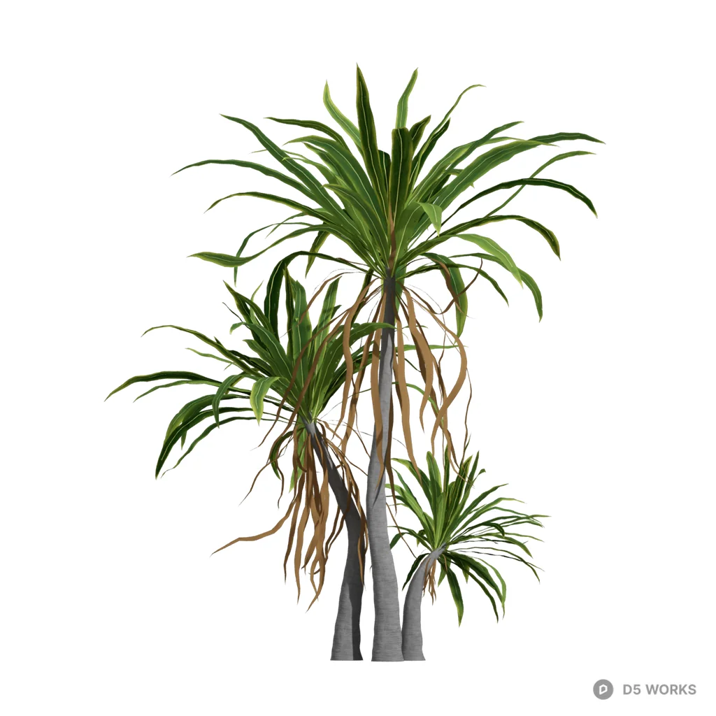 Cordyline indivisa 02 3d model - Image 1