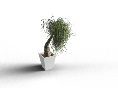 Modern Potted Plant