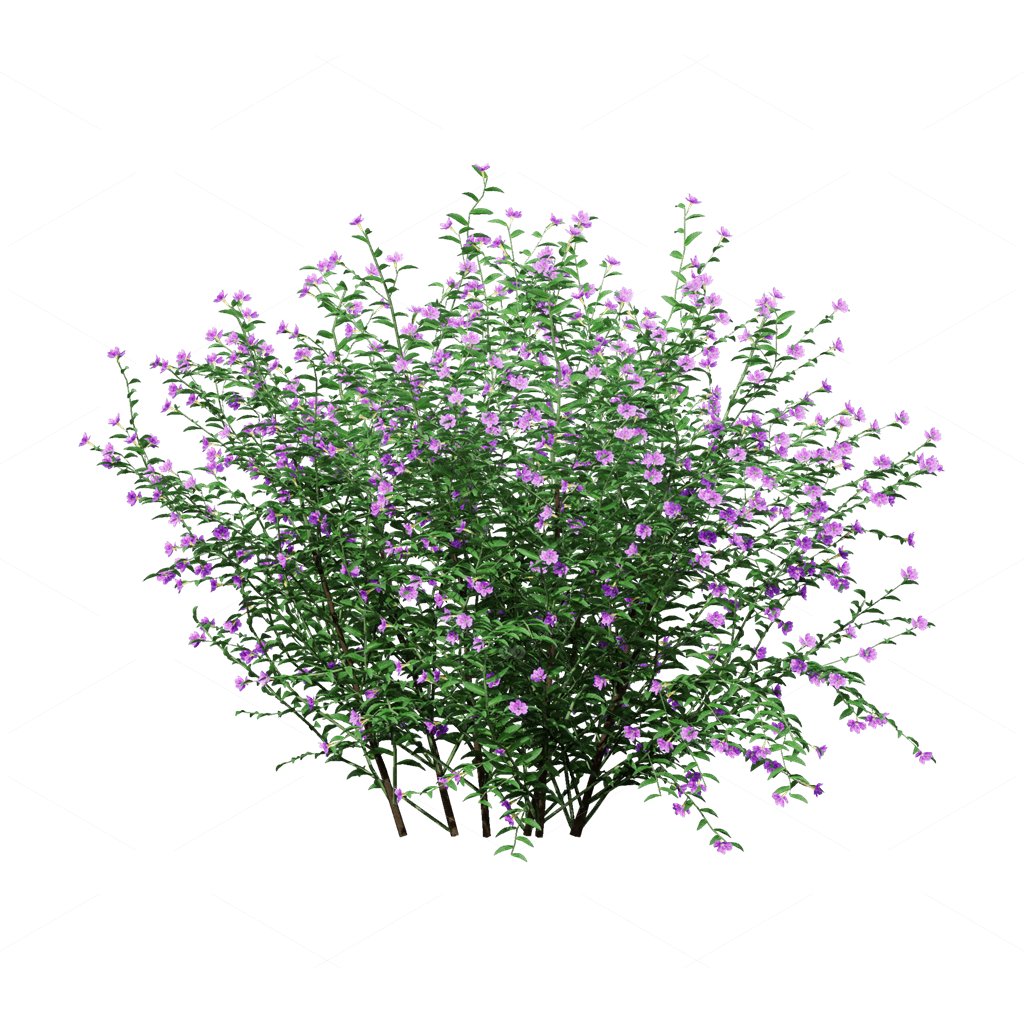Flowers 3D Models