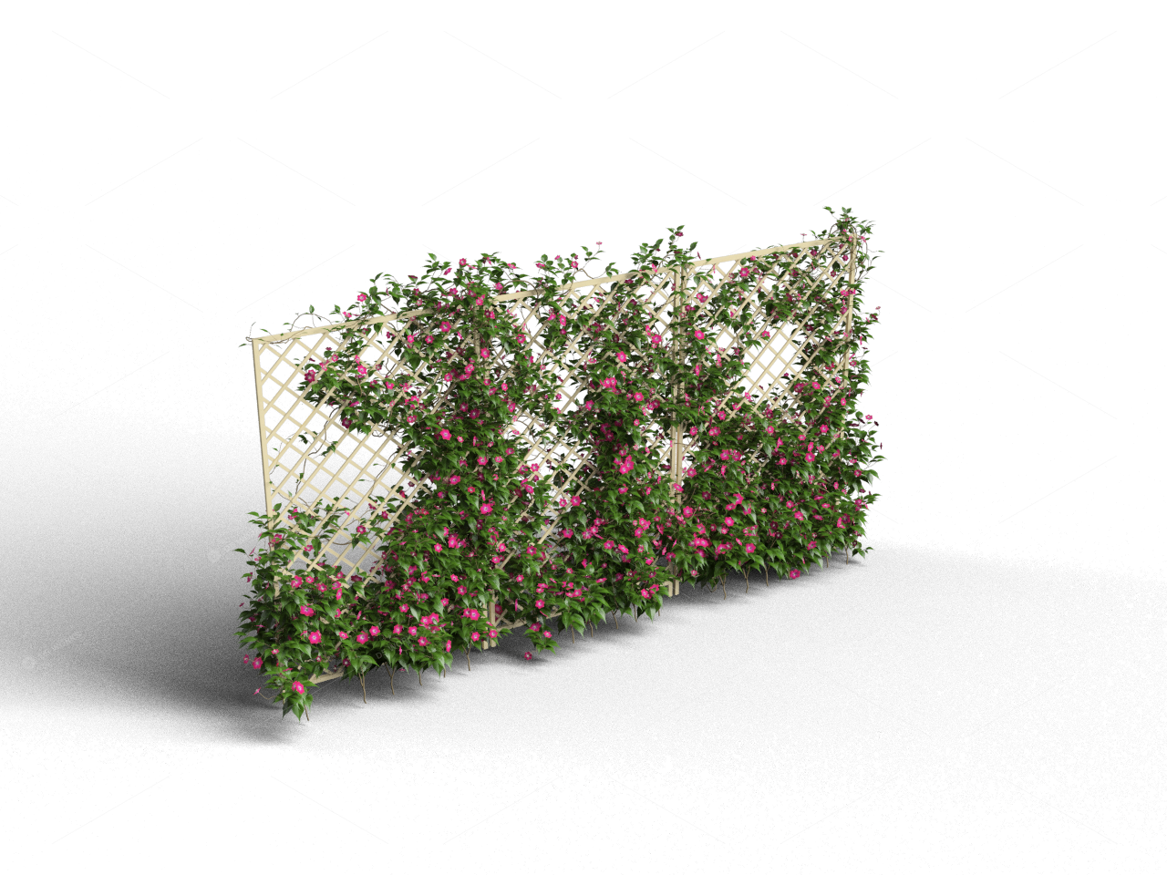 Climbing Plants 3D Models