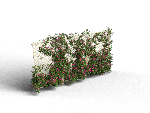 Modern Climbing Plants