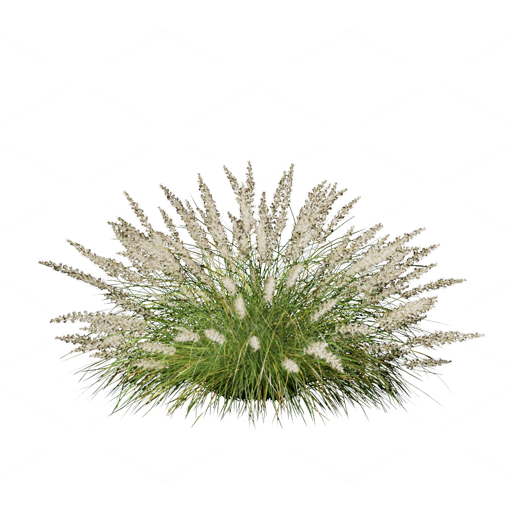 Flowers 3D Models