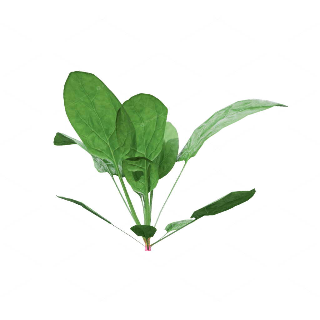 Crops 3D Models