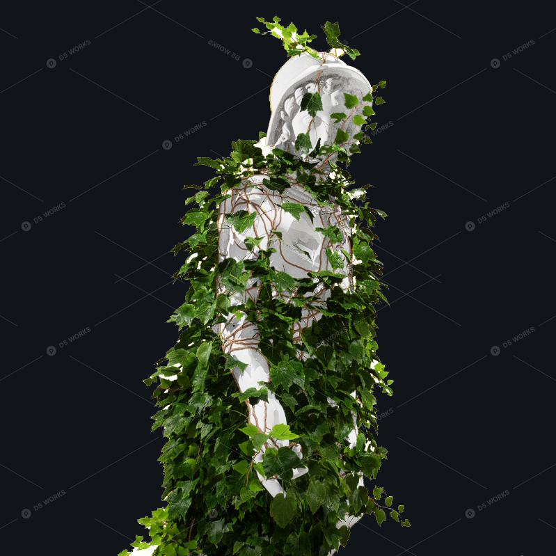 Climbing Plants 3D Models