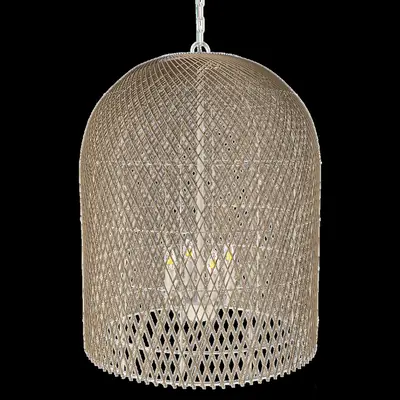 Woven Rattan Cage Pendant Light 3d model