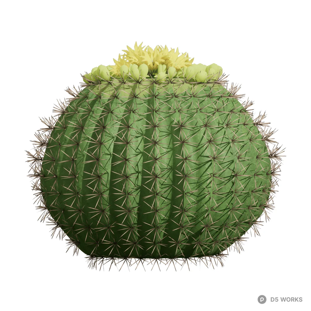 Echinopsis tubiflora 04 3d model - Image 1