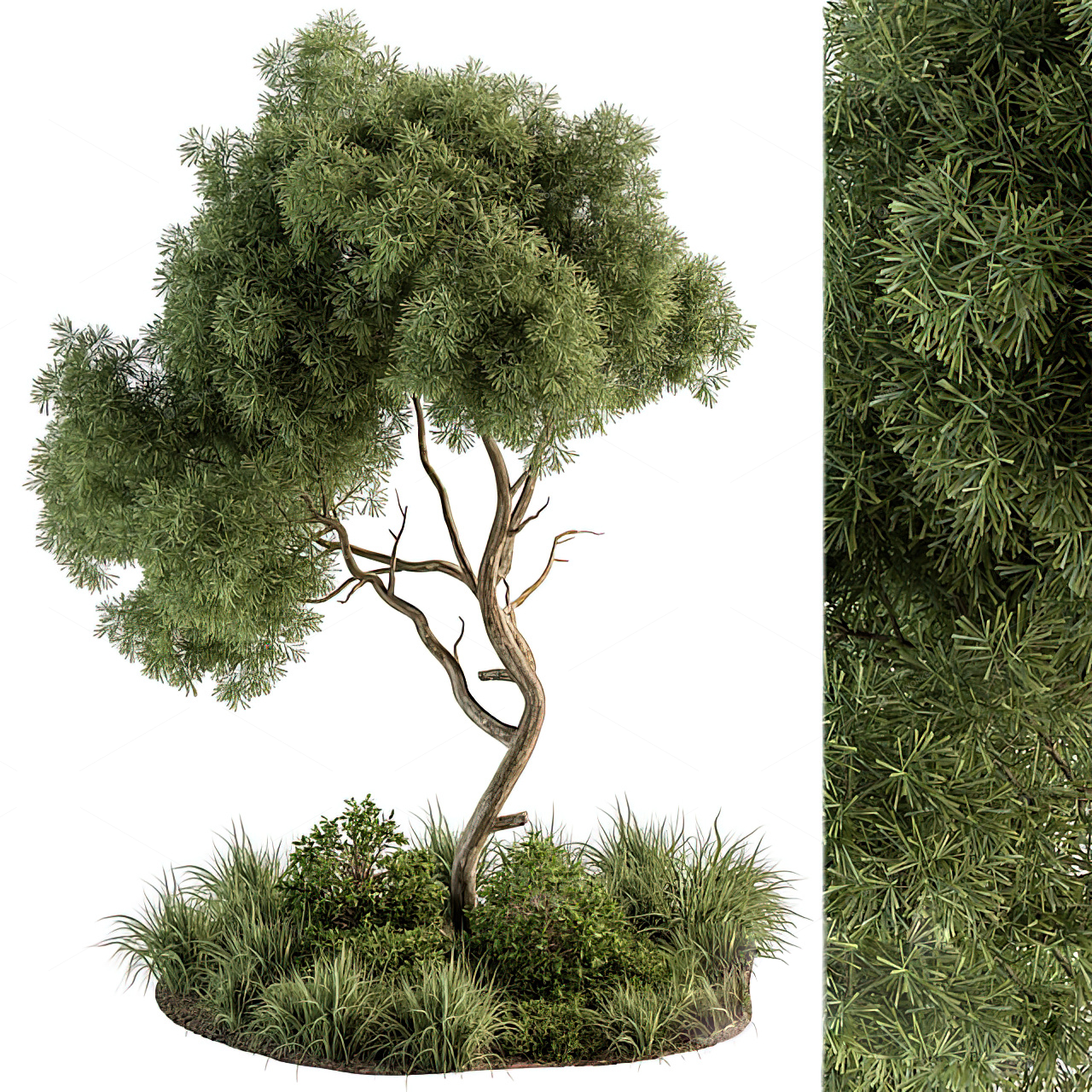 Greenery 3D Models