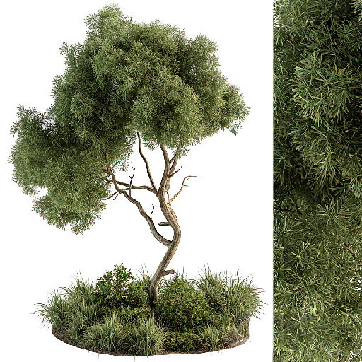 Modern Plant Cluster