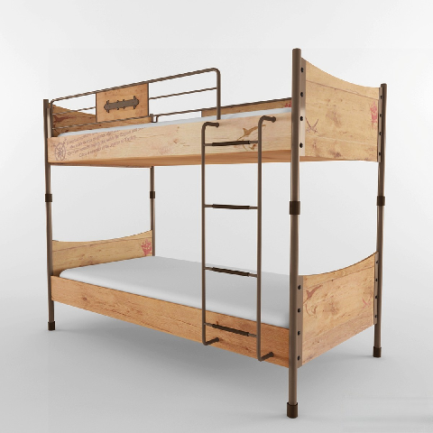 Modern Bunk Bed