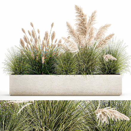 Mid-Century Modern Plant Cluster