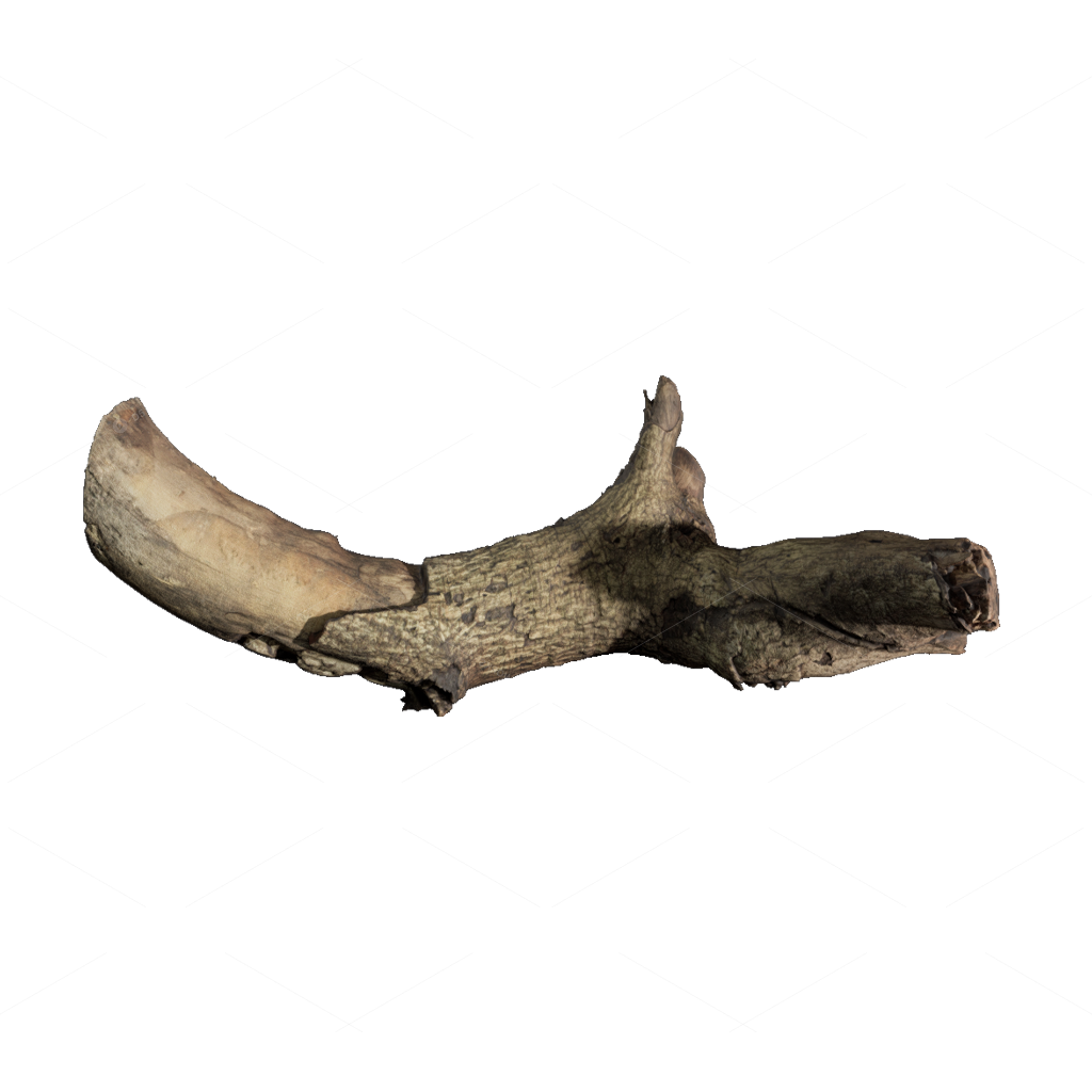 Other Botanicals 3D Models