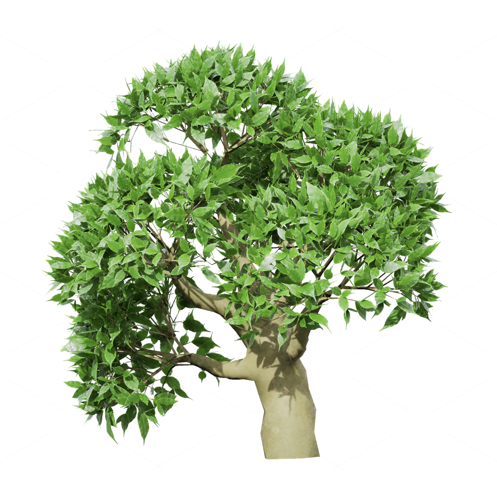 Crops 3D Models
