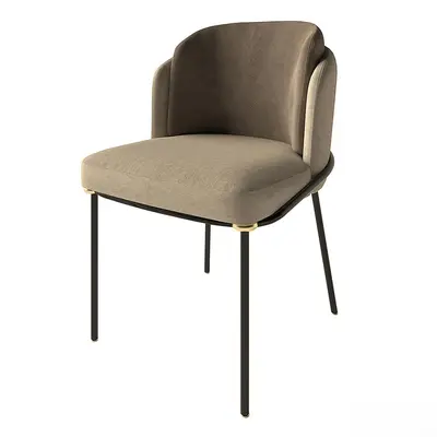 Modern Dining Chair