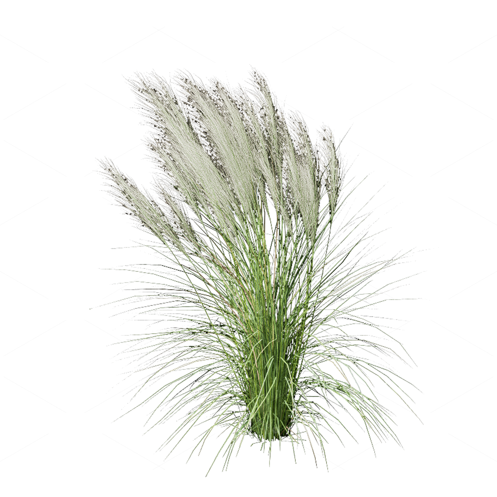 Flowers 3D Models