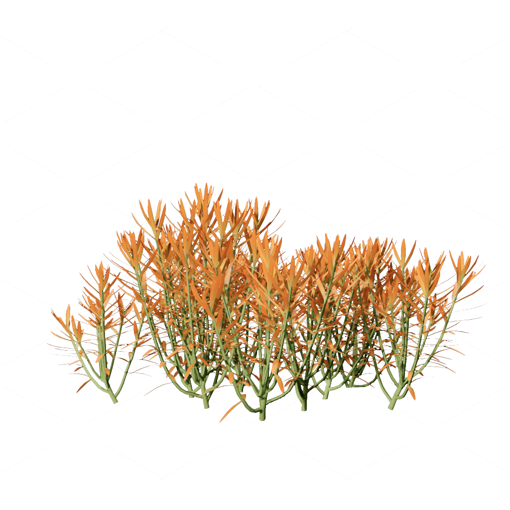 Flowers 3D Models