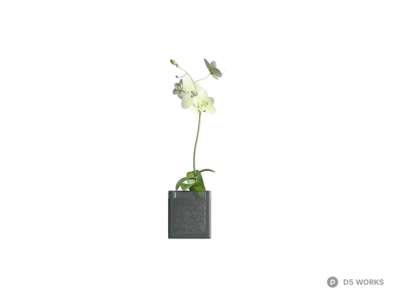 Minimalist Black Cube Planter With Orchid 3d model thumbnail 2