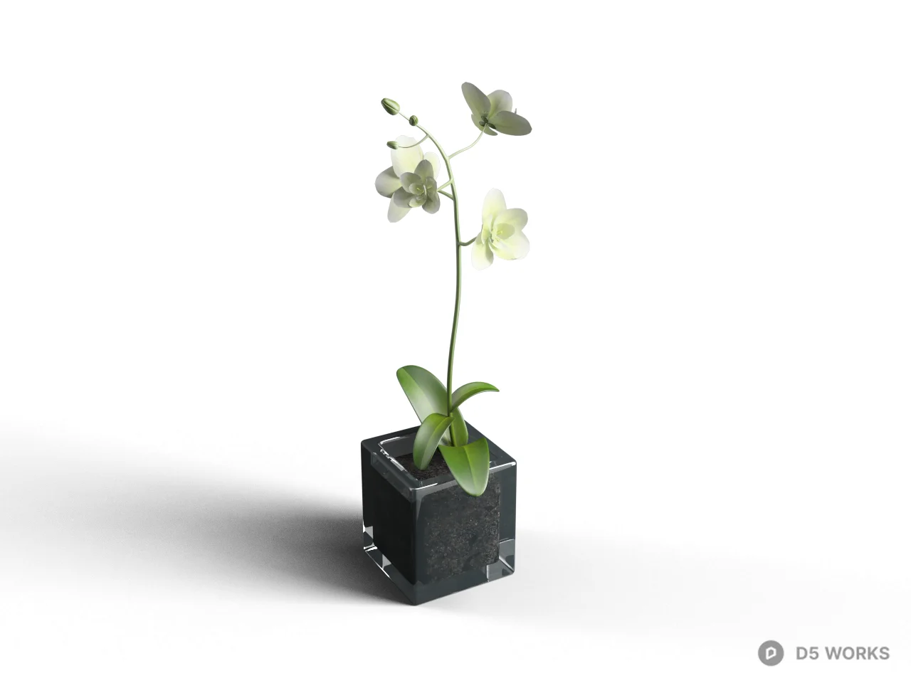 Minimalist Black Cube Planter With Orchid 3d model - Image 1
