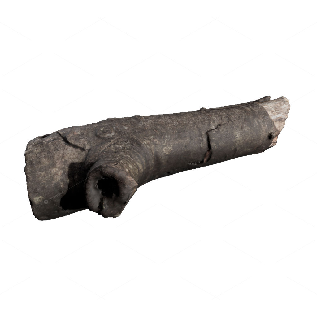 Other Botanicals 3D Models