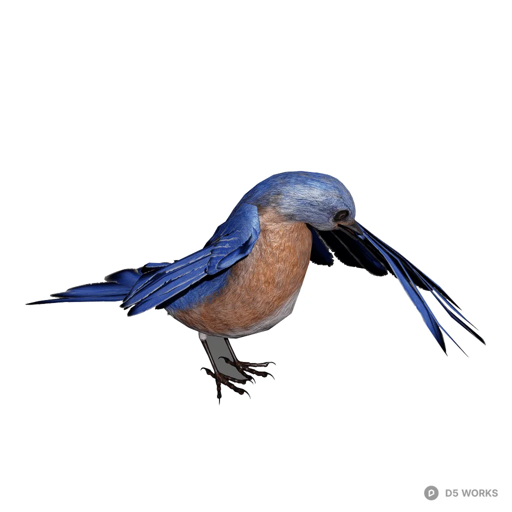BlueBird Bathing 3d model - Image 1