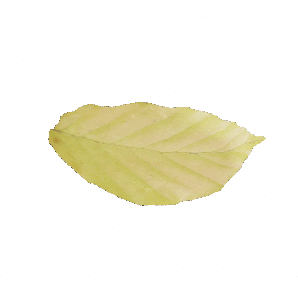 Other Botanicals 3D Models
