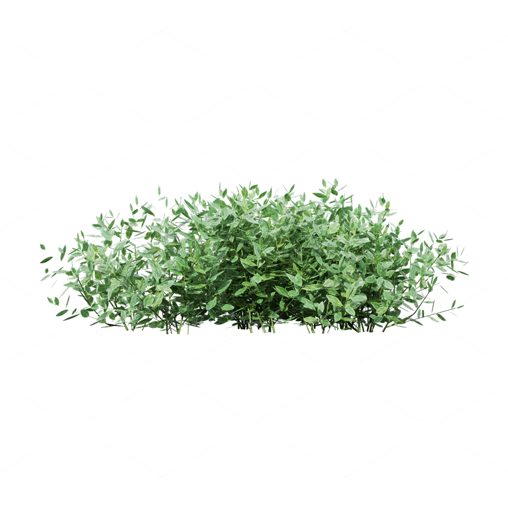 Crops 3D Models