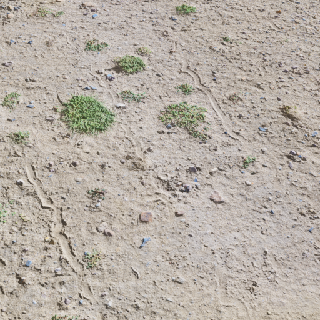 Muddy Ground Grass Gravel
