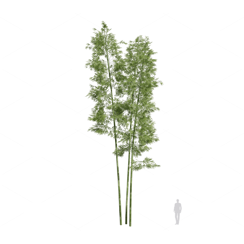 Other Botanicals 3D Models
