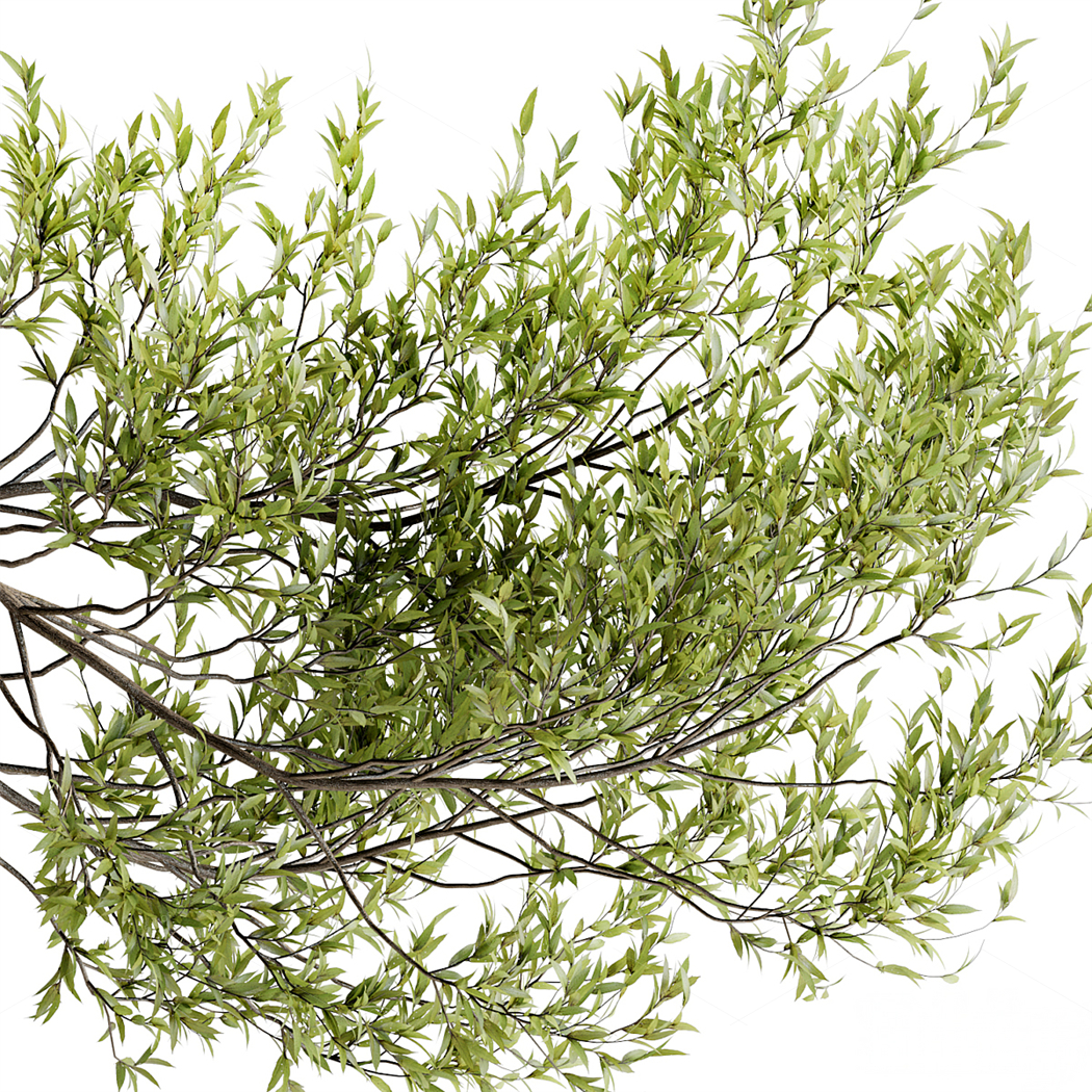 Greenery 3D Models 3
