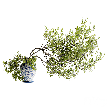 New Chinese Potted Plant