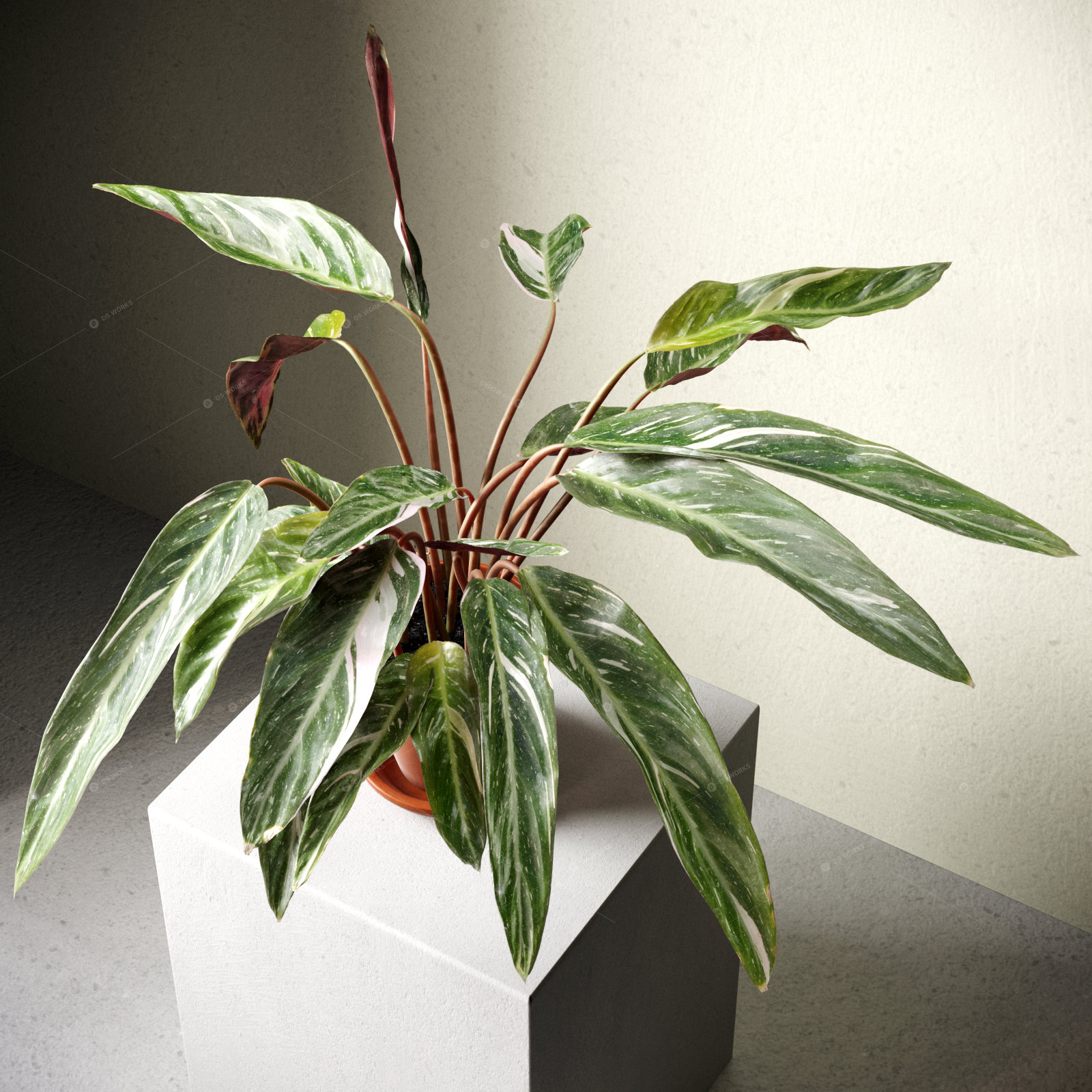 Greenery 3D Models 3