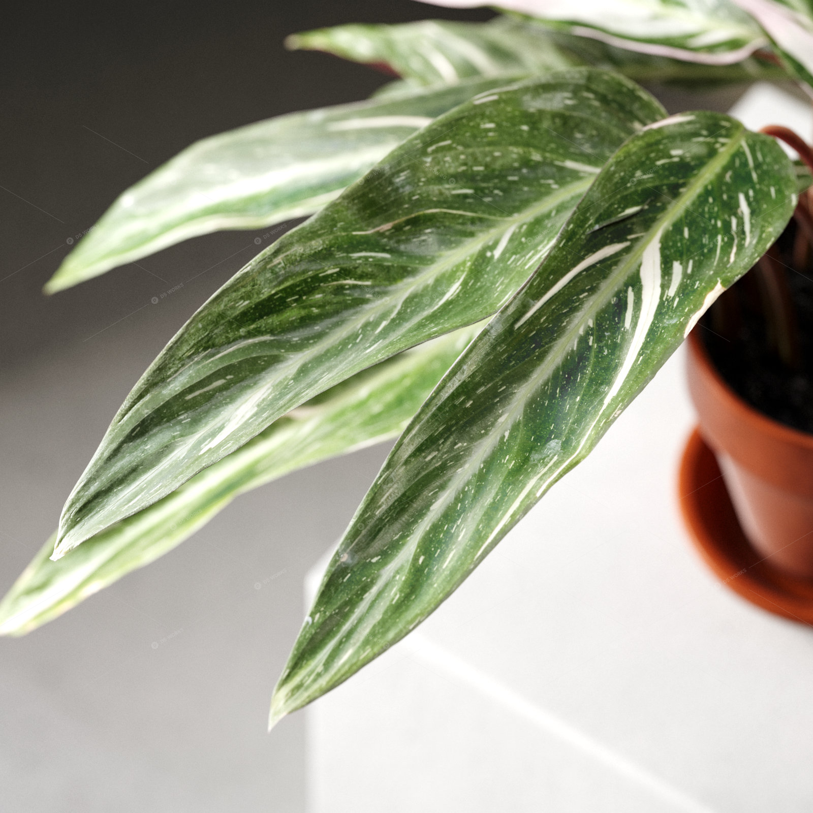 Greenery 3D Models 2