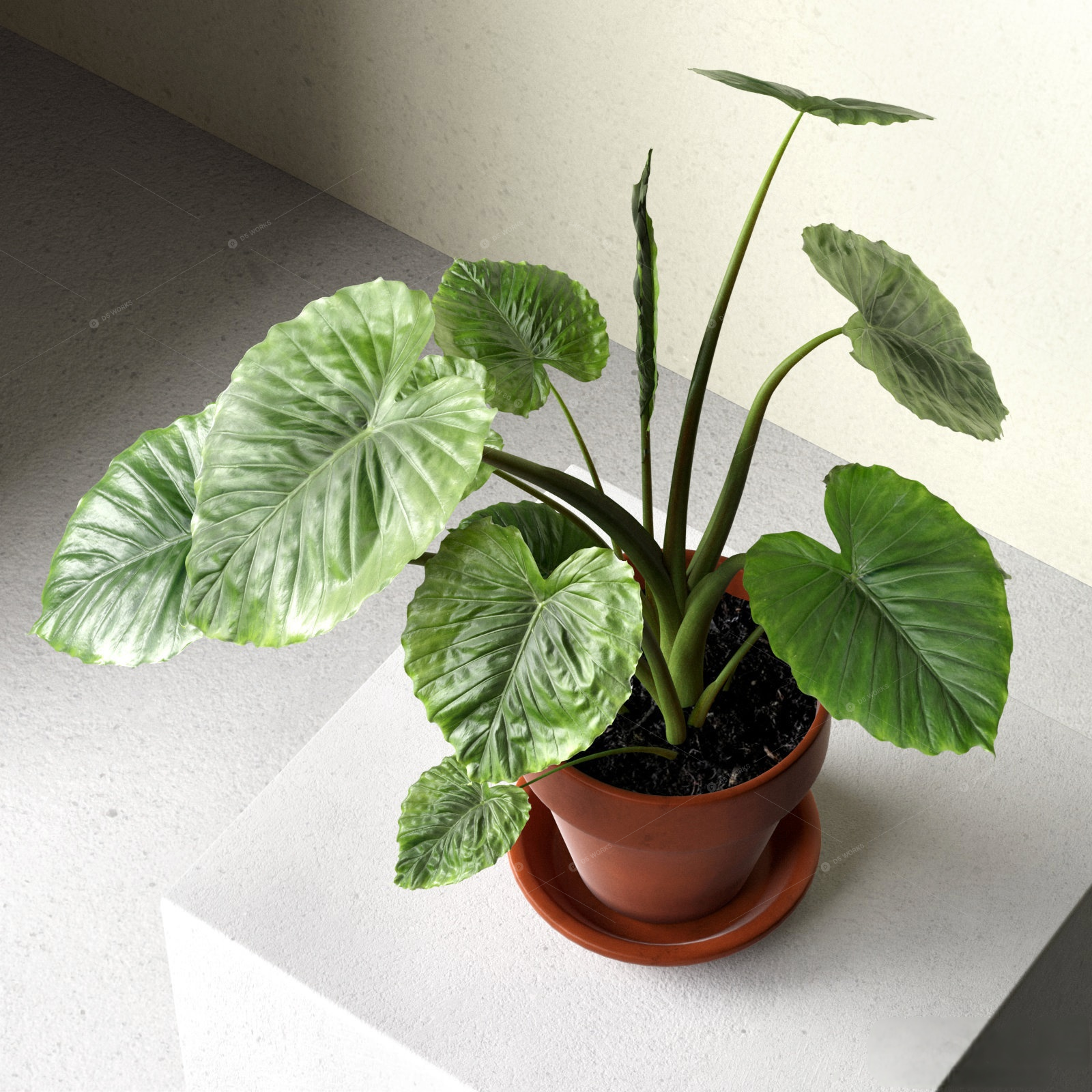 Greenery 3D Models 2