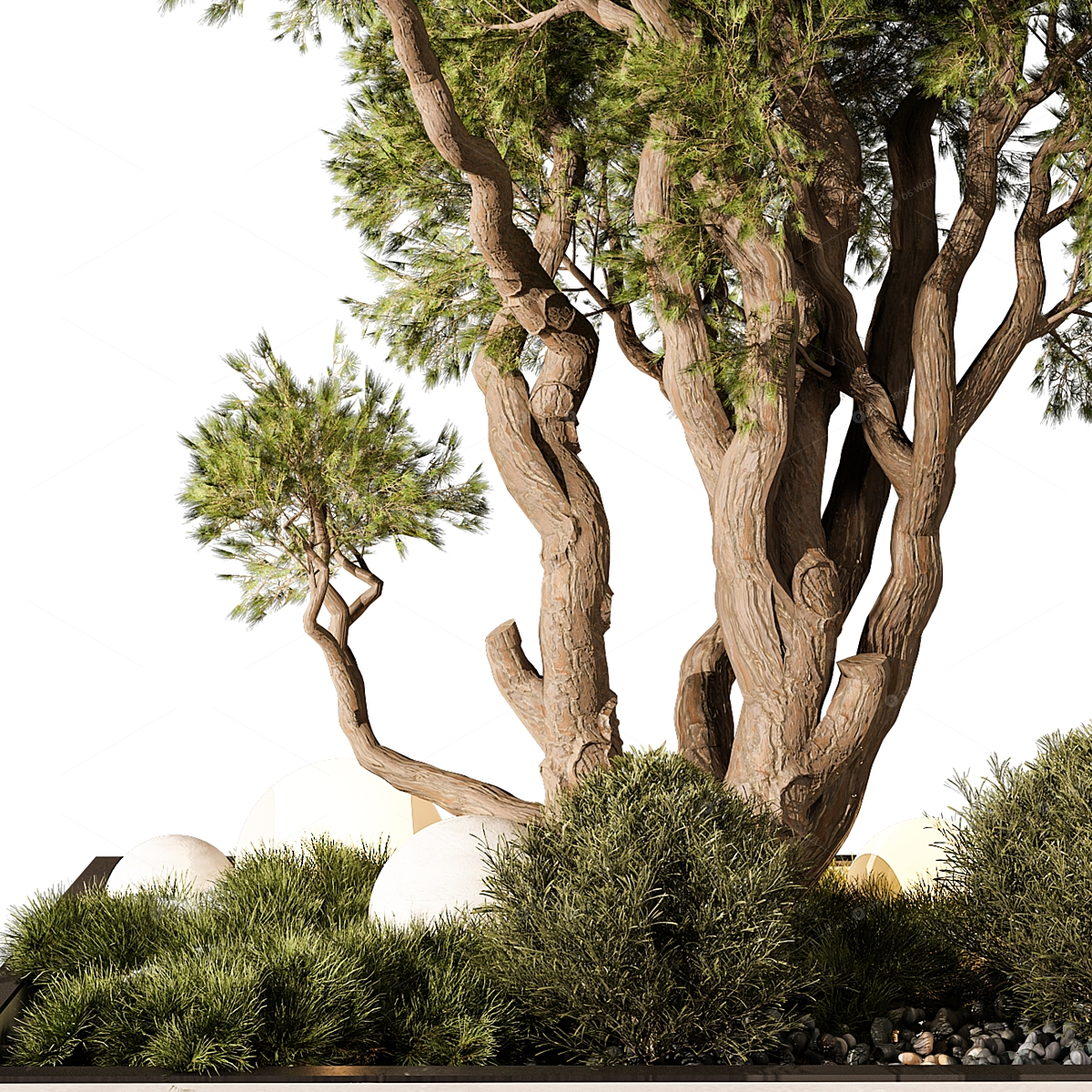Trees 3D Models 2