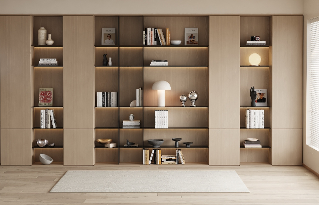 Modern Bookcase
