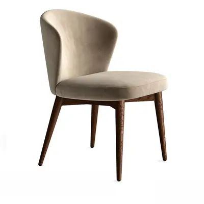 Modern Dining Chair