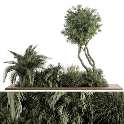 Multi Species Greenery Arrangement With Broadleaf Tree 3d model