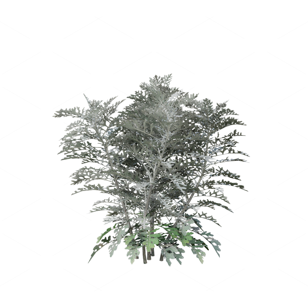 Flowers 3D Models