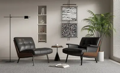 Mid-Century Modern Furniture Set