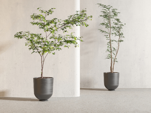 Modern Potted Plant