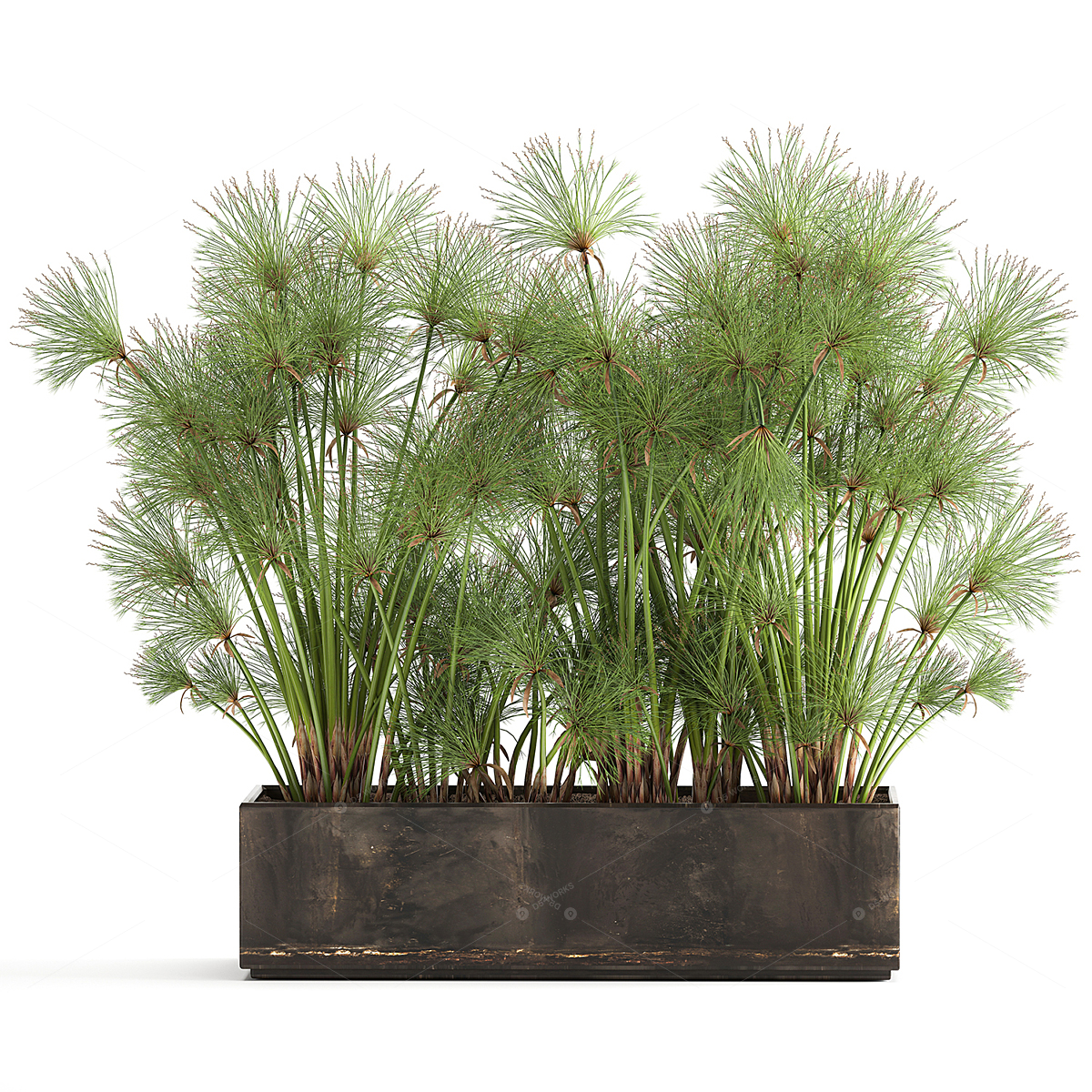Greenery 3D Models