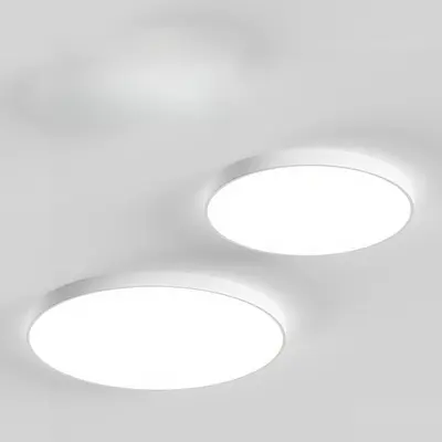 Modern Flush Mount Light