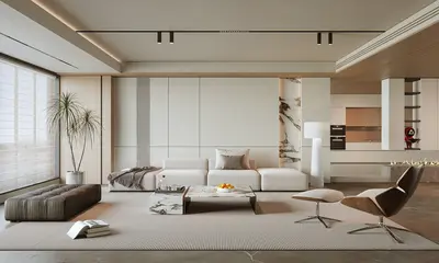 Contemporary Home Living Room