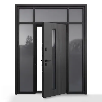 Modern Single Door