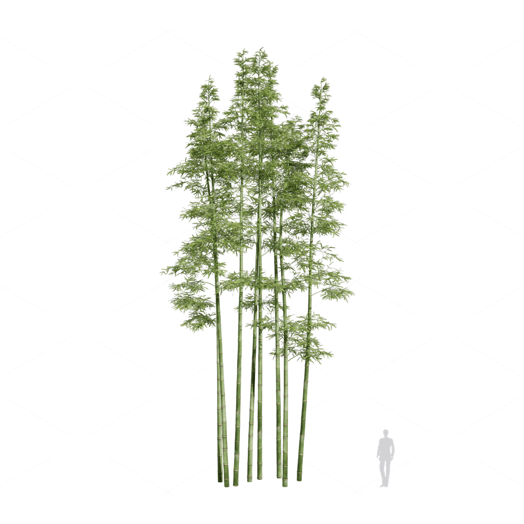 Other Botanicals 3D Models