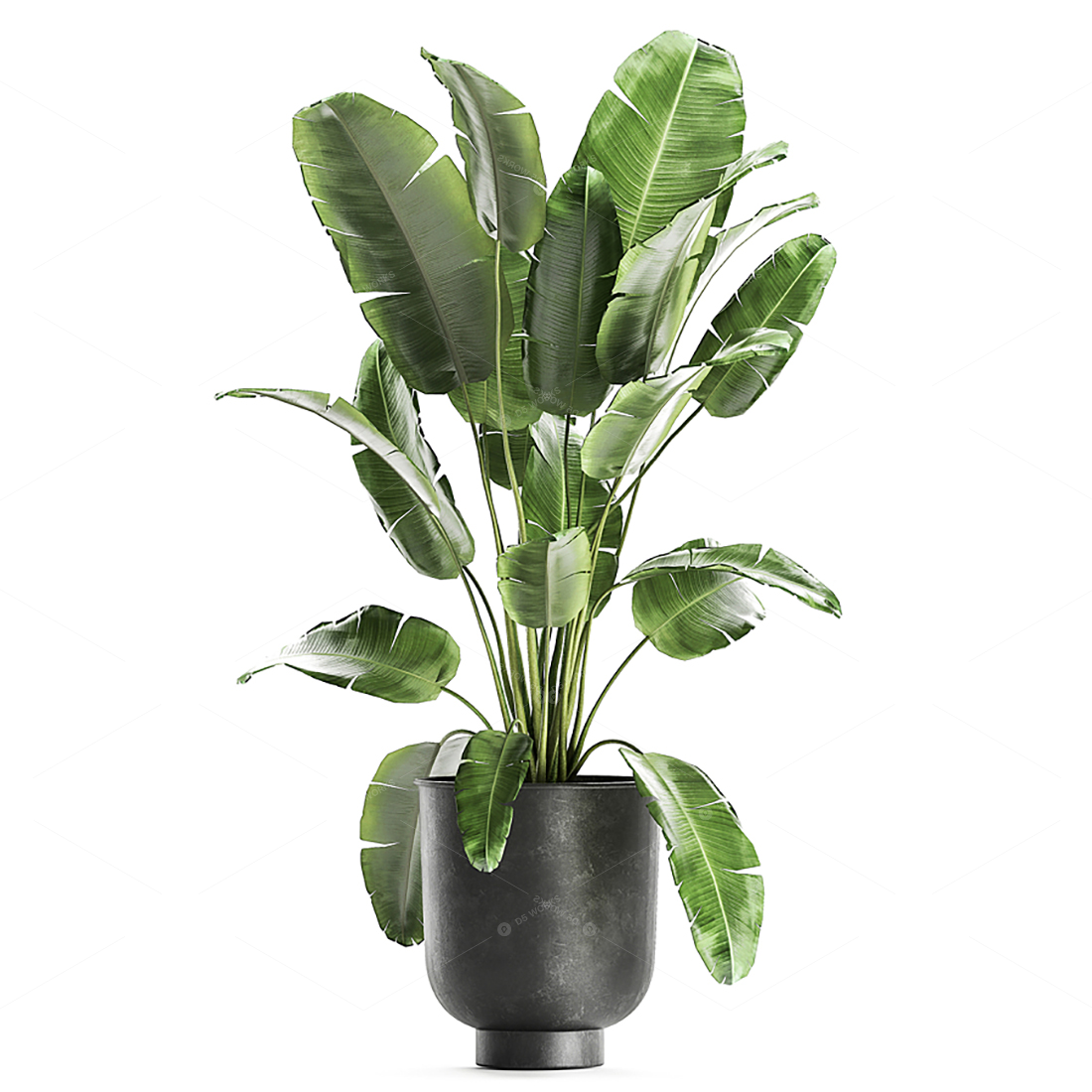 Greenery 3D Models 3