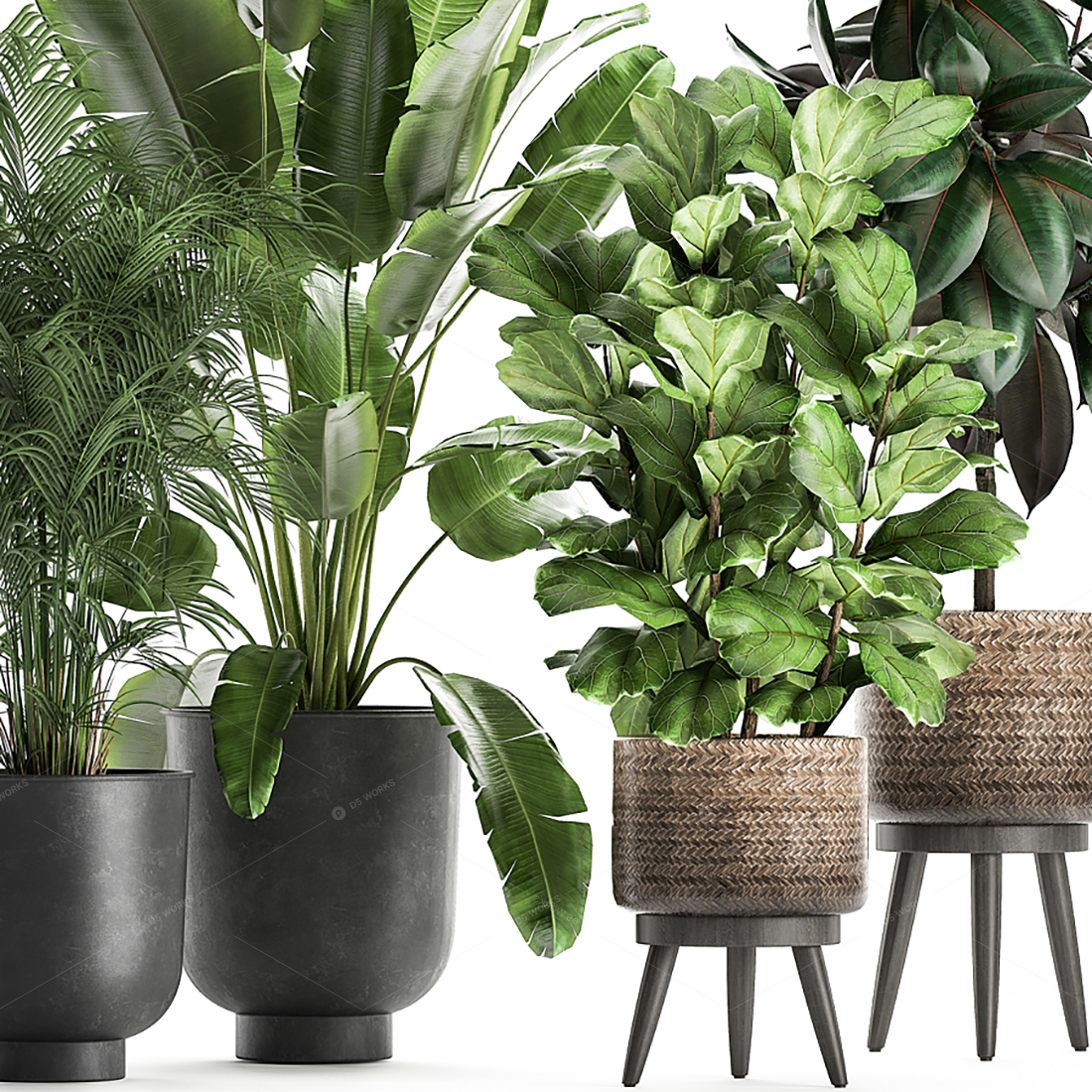 Greenery 3D Models 4