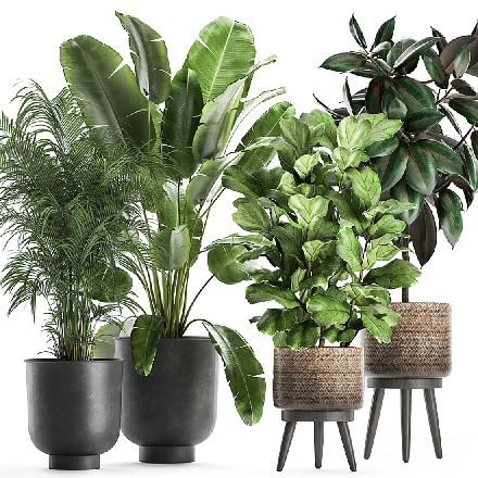 Mid-Century Modern Potted Plant