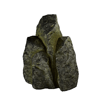 Stone Forest Rock 46