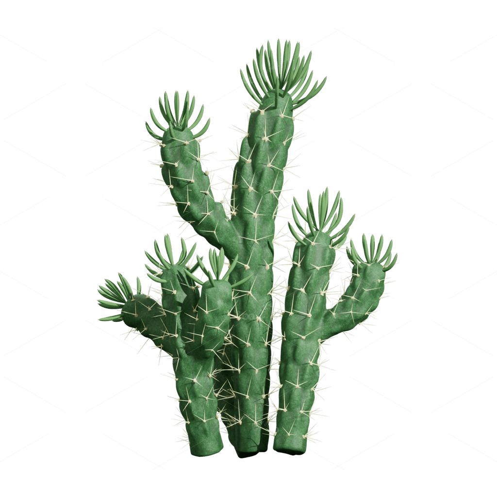 Xerophyte Plants 3D Models