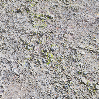 Muddy Ground Gravel Mossy Ground2